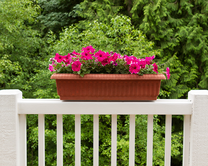 How to Plantscape Your Deck | Trex® Furniture